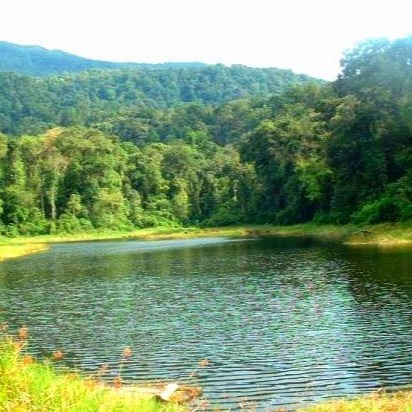 Taman Nasional Batang Gadis