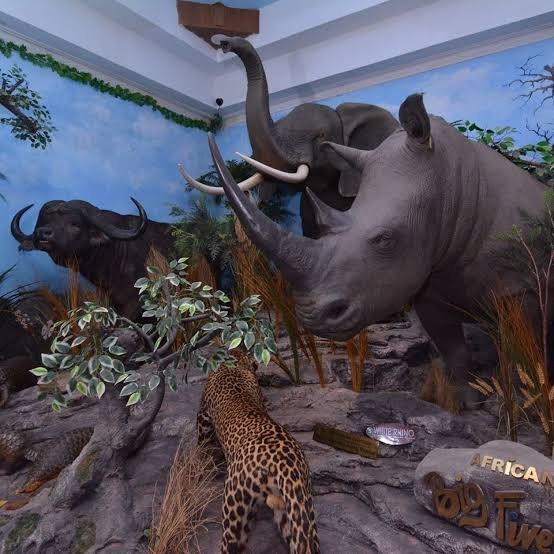 Rahmat International Wildlife Museum & Gallery