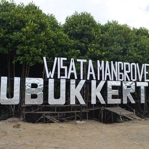 Wisata Mangrove Lubuk Kertang