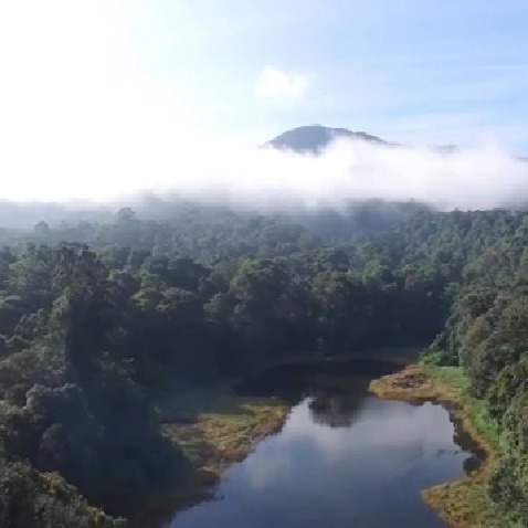 Taman Nasional Batang Gadis