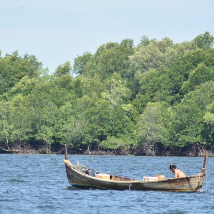 Wisata Mangrove Lubuk Kertang