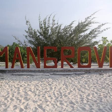 Wisata Kampung Mangrove