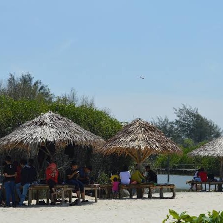 Wisata Kampung Mangrove