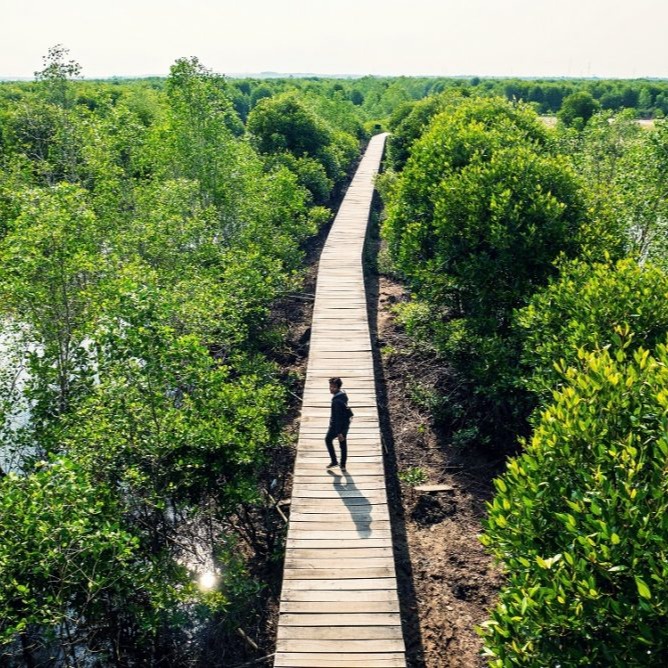 Wisata Mangrove Lubuk Kertang