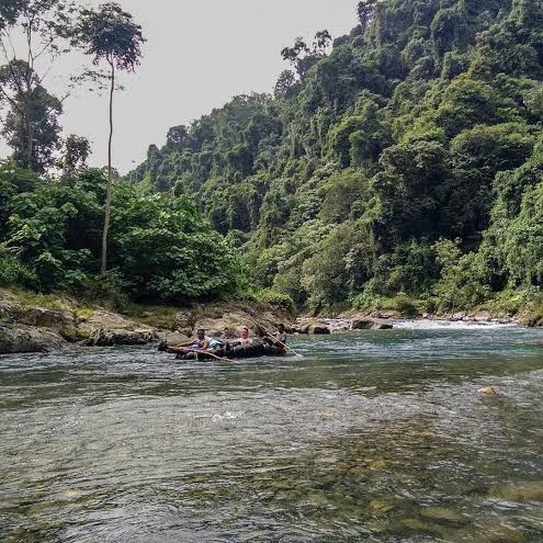 Bukit Lawang