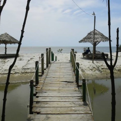 Wisata Kampung Mangrove