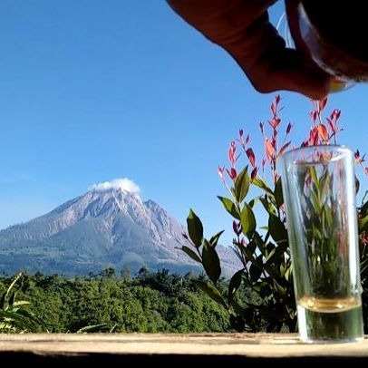 Kopi Cimbang Sinabung