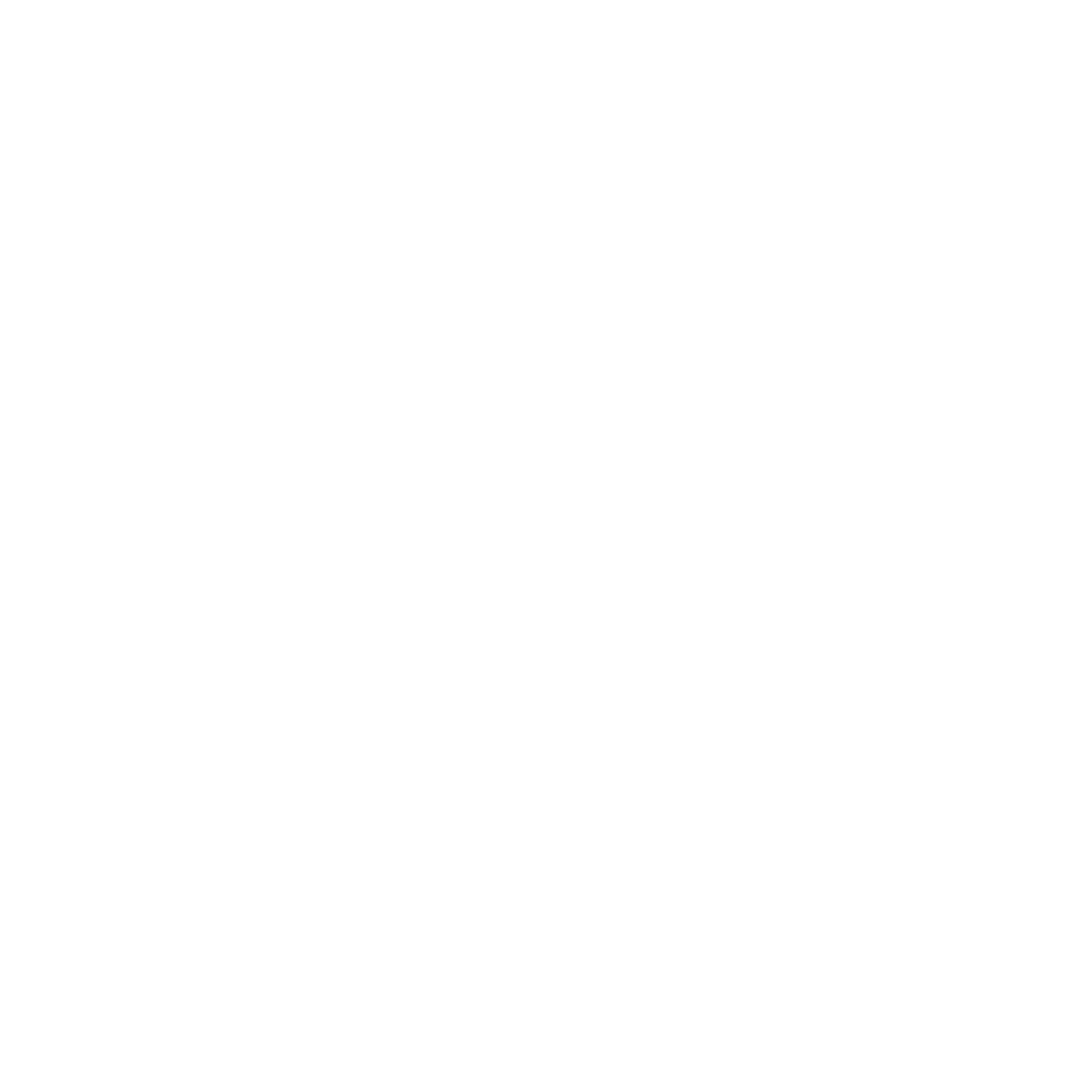 NSI Logo